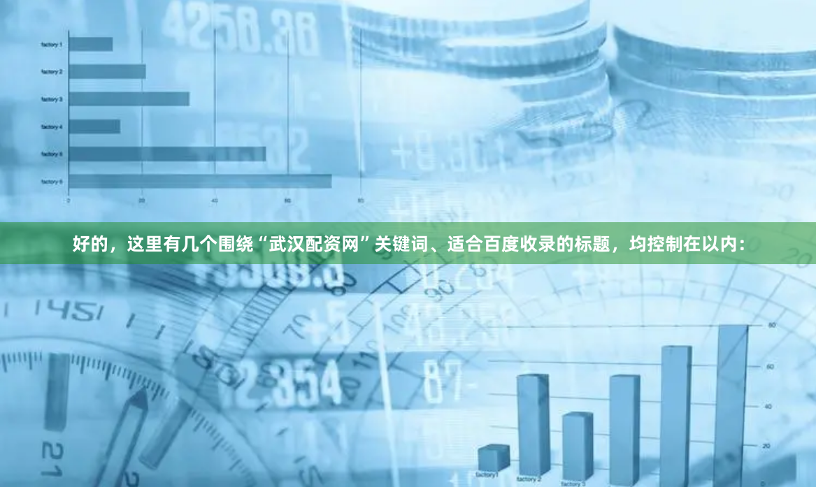 好的，这里有几个围绕“武汉配资网”关键词、适合百度收录的标题，均控制在以内：