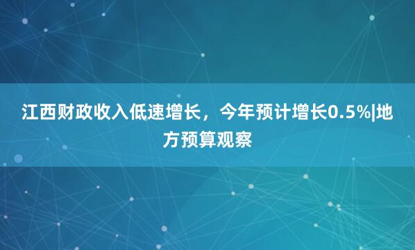 江西财政收入低速增长，今年预计增长0.5%|地方预算观察